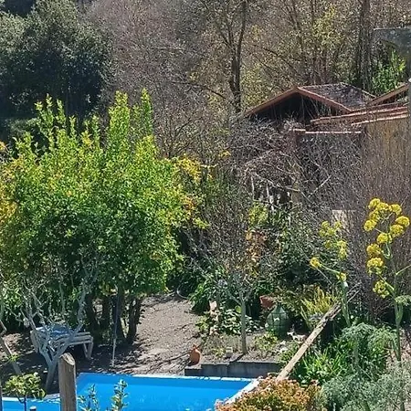 Vivelorural El Caminante- Valleseco, Private Pool Exterior photo