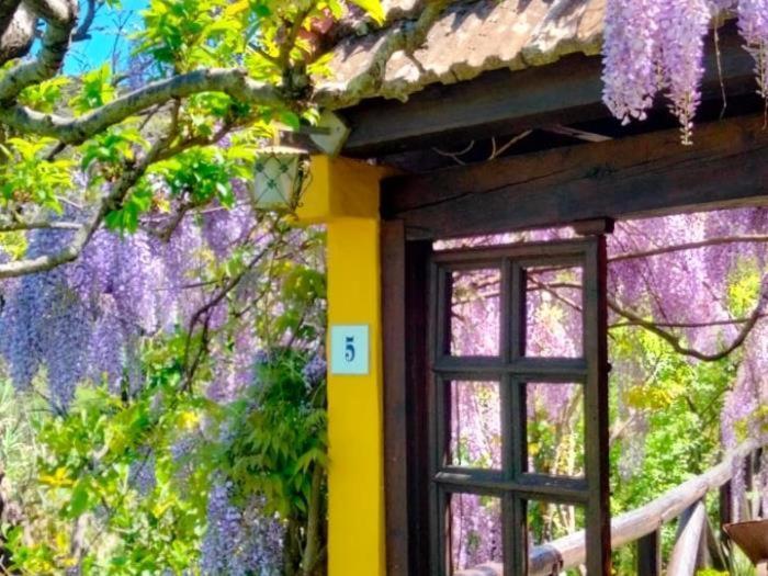 Holiday home Vivelorural El Caminante- Valleseco, Private Pool Valleseco